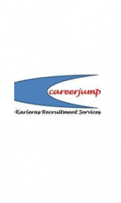 Senior System Engineer