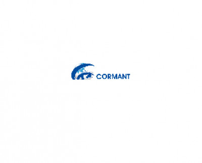 Software Design Engineer