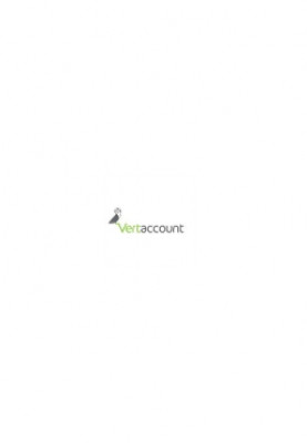 Financial Accountant