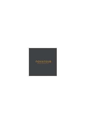 Sales Analyst