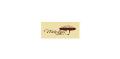 Sales Admin Staff