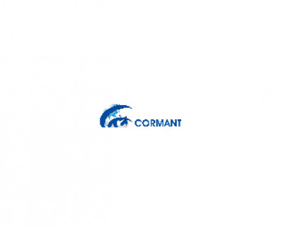 Business Analyst
